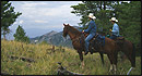 Arizona Horseback Experience