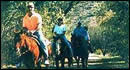 Colossal Cave Mountain Park Riding Stables