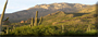 Trailride Tucson