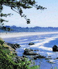 Humboldt County Photos and Images
