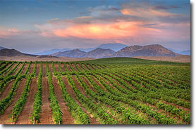 Temecula Valley Tourism Photos and Images