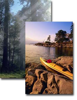 Scenery in California