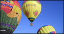 A Grape Escape Balloon Adventures