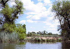 Anderson Marsh State Historic Park