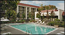 Best Western - Avatar