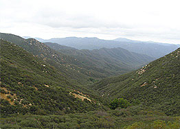 Cleveland National Forest