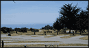 Costanoa Coastal Lodge & Camp