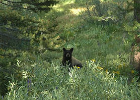 Slideshow image