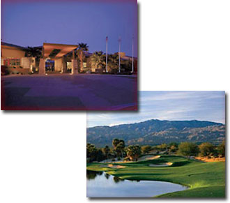 Desert Willow - Firecliff