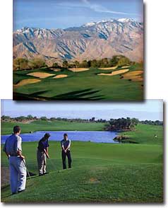 Desert Willow - Firecliff