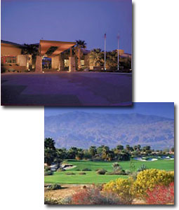 Desert Willow - Mountain View