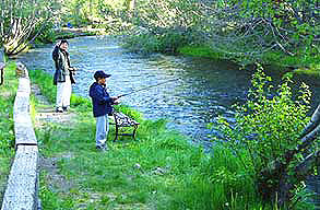 Hat Creek Resort and Cabins