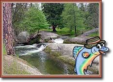 High Sierra RV Park and Campground
