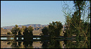 Joshua Tree Lake RV & Campground