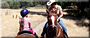 Little Yellow Rose Ranch