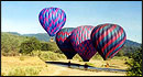 Napa Valley Aloft