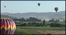 Napa Valley Drifters