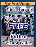 Fallon FREE Travel Planner!