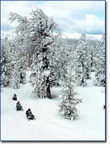 Zephyr Cove Snowmobile Center Photo