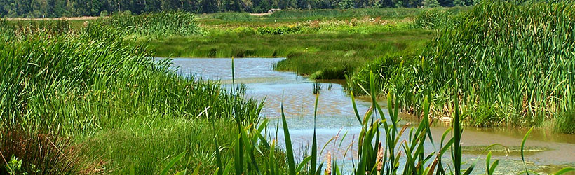 Wildlife Refuge