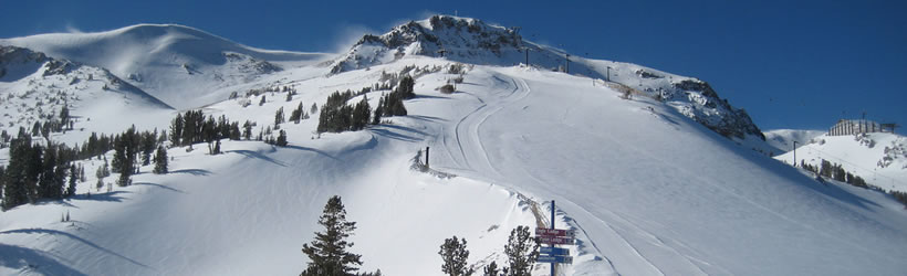 Perfect Terrain