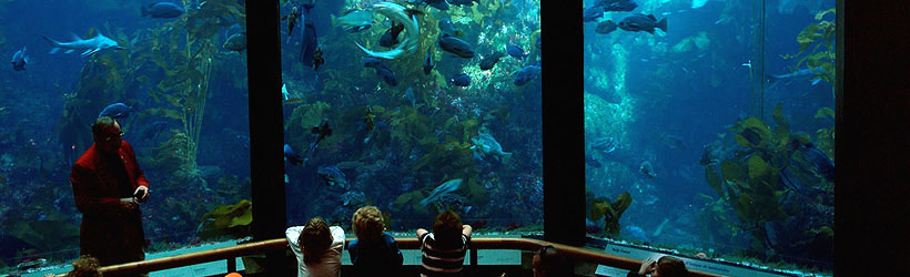 Underwater Worlds