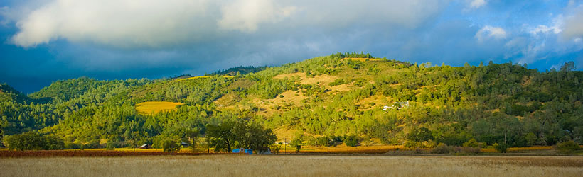 Amazing Landscapes