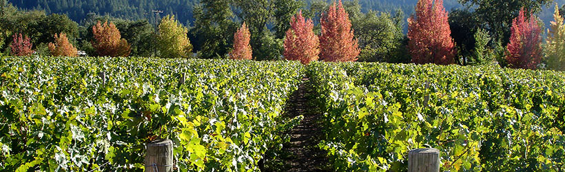 Famous Wineries