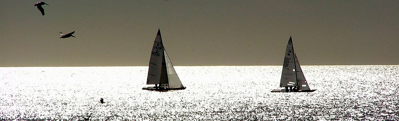 Shimmering Sea