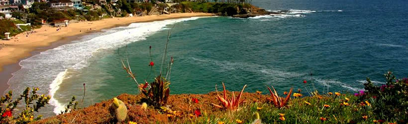 Colorful Coastline