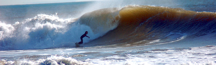 Surfer's Paradise