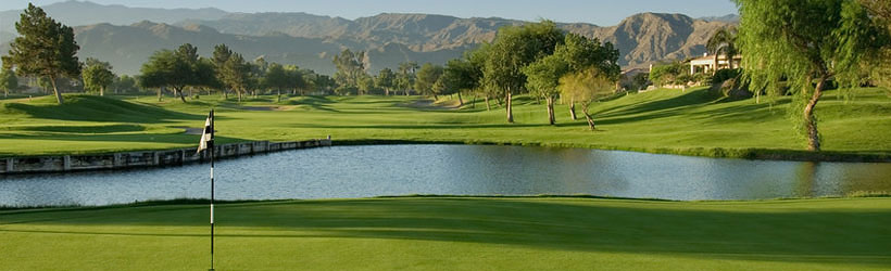 Desert Oasis