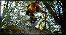 Yosemite Bicycle & Sport