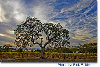 Calaveras County Tourism Photos and Images