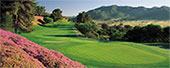 Golfing in Temecula Valley, California