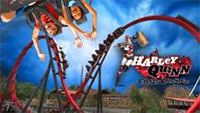 Harley Quinn Crazy Coaster at Six Flags Discovery Kingdom