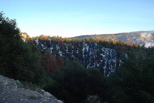 Bear Mountain Fall