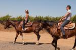 Horseback Riding in Temecula