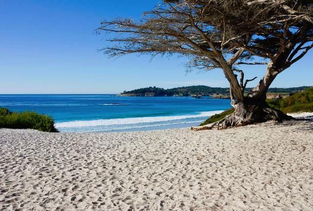 california tourism department Carmel-By-The-Sea Convention and Visitors Bureau