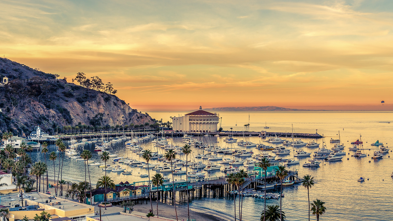 california tourism department Love Catalina Island Tourism Authority
