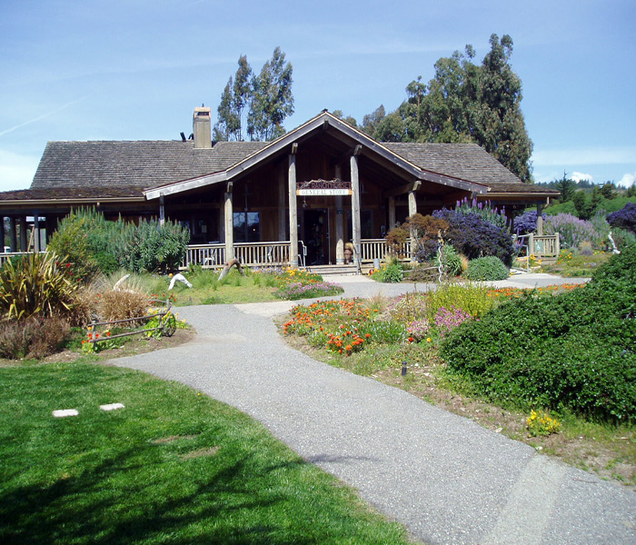 Costanoa Coastal Lodge, Camp & RV Park