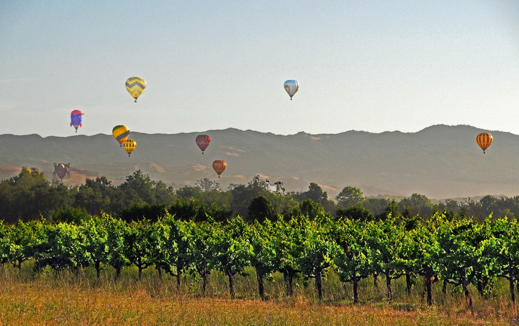 Sonoma County Tourism