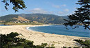 Carmel-By-The-Sea