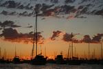 Newport Harbor at sunset