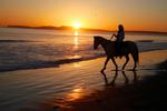 Limantour Beach Horseback Riding
