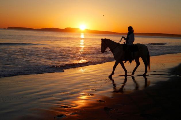 Limantour Beach Horseback Riding