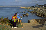 Pacific Grove Painter